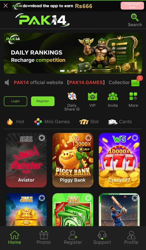 Pak14 Game